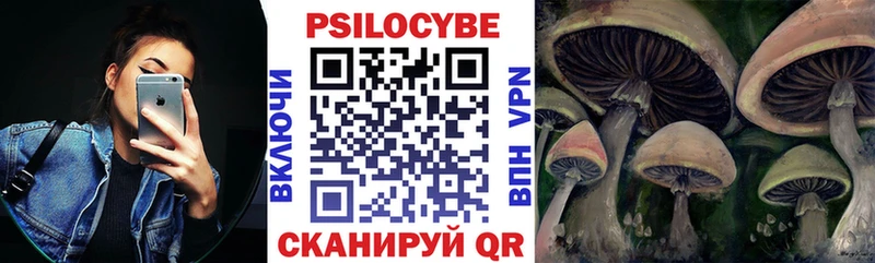 Псилоцибиновые грибы Magic Shrooms  сколько стоит  Медногорск 